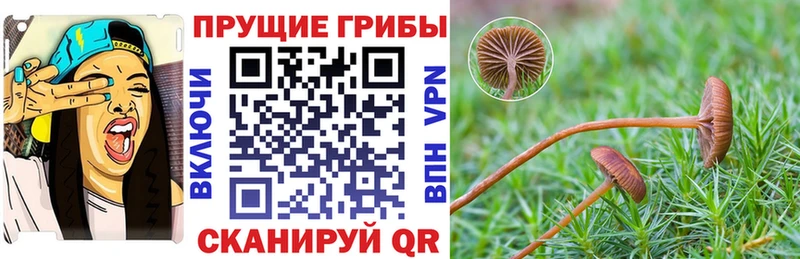 Галлюциногенные грибы прущие грибы Павловская