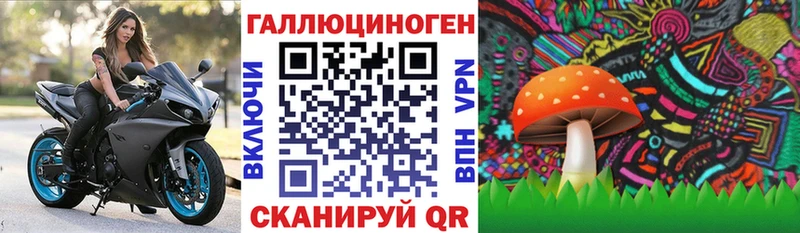 блэк спрут рабочий сайт  Павловская  Псилоцибиновые грибы Cubensis 